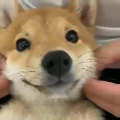 The sweetest most trusting baby