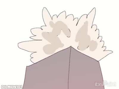 Invisible vs Shibuya Sukuna