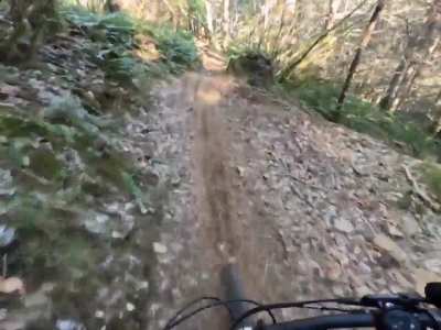 2 turntables and a microwave on a 2003 specialized epic 26'r
