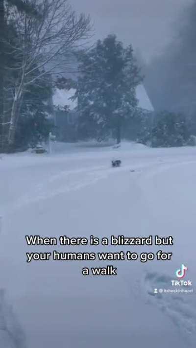 Fun times in the blizzard