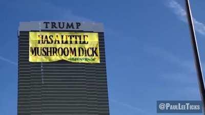 Hahahaha! Made my day.