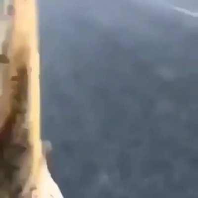 King K Rool is awesome