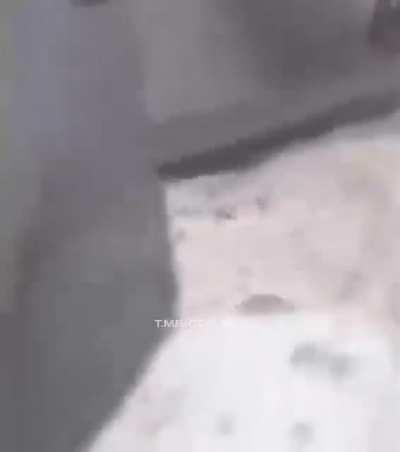 The owner met his dog, whom he lost 3 years ago.