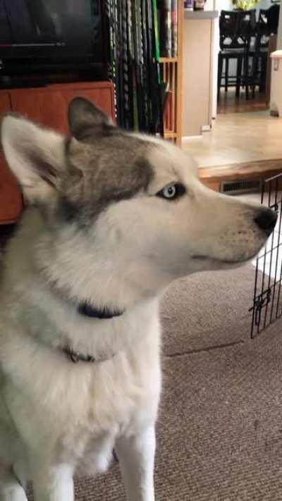 Noooooooo don’t tell me what to doooooo