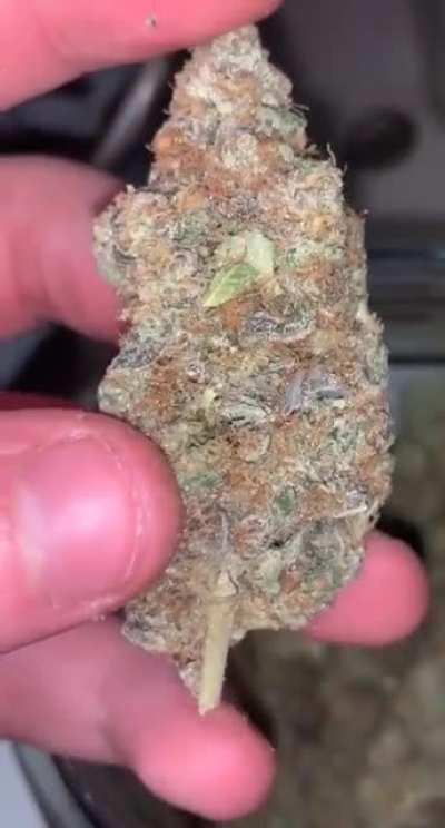 Mandarin zkittlez - I wish you could smell 🥵😋