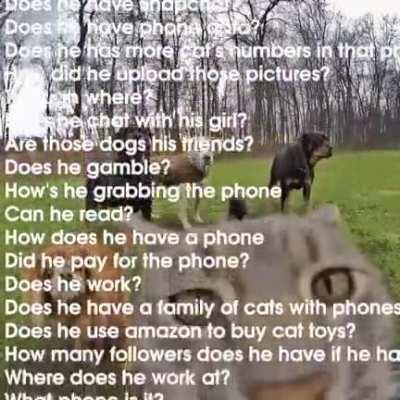 i think im pretty proud of this one