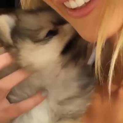 Madi Teeuws - Holding Dog