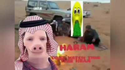 Haram furry