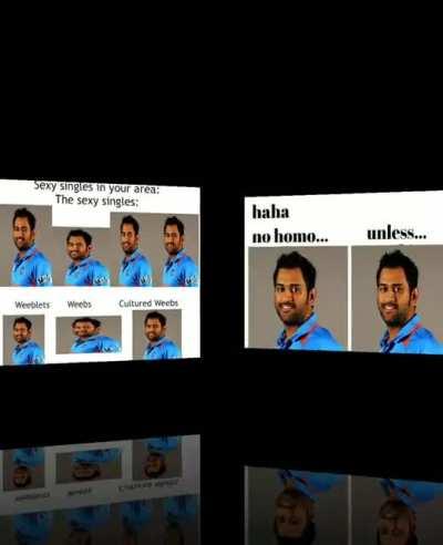 r/CricketShitpost mfs daily routine