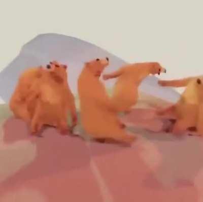 Bengals O-line trying to block the Steelers defense on MNF