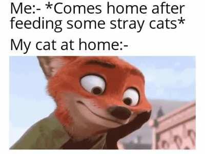 I am not mad, I am just disappointed