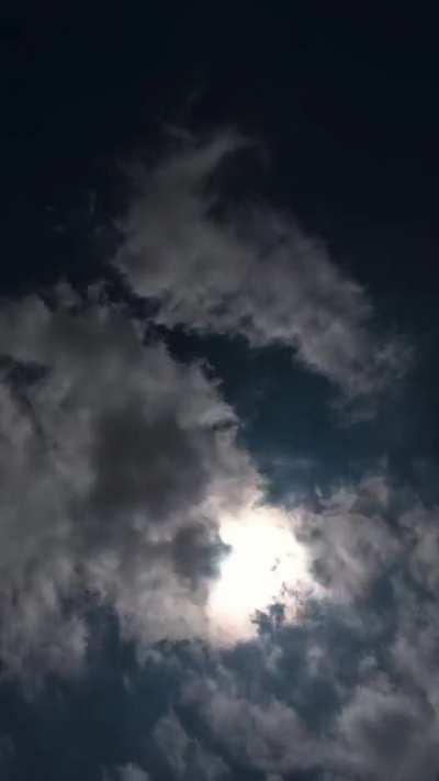 Short of the sun moving from my backyard