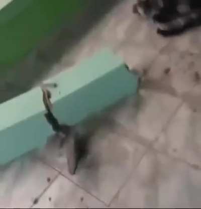 Heavy load in columns, date unknown