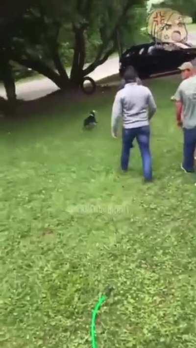 It all started with a question