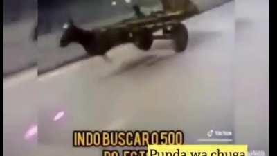 leaked footage of the new movement part boys