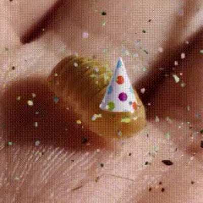 Made this GIF of one of my isopods, thought someone might appreciate