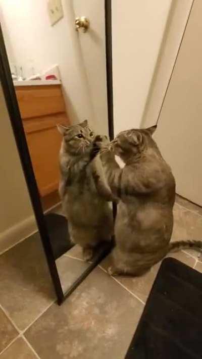 Burst into the bathroom and immediately started being obnoxious