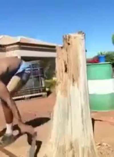 who needs toes anyway..