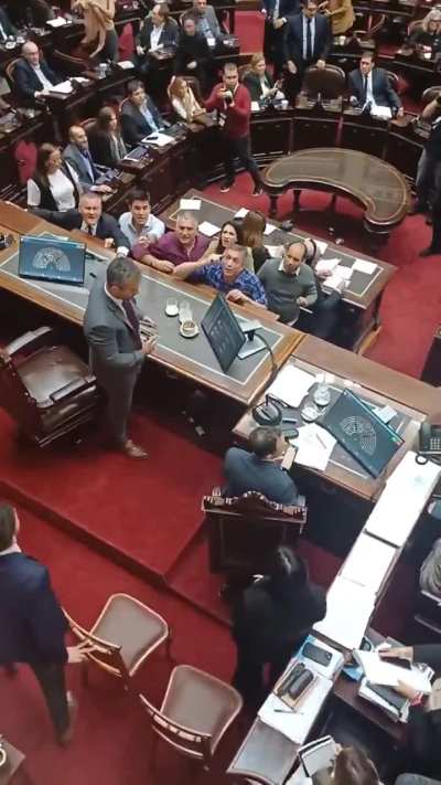 La discusión entre Máximo Kirchner y Martín Menem en la Cámara de Diputados.