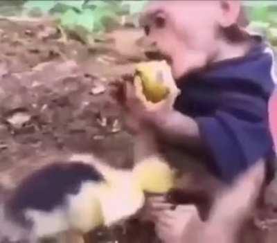 I can't stop laughing...