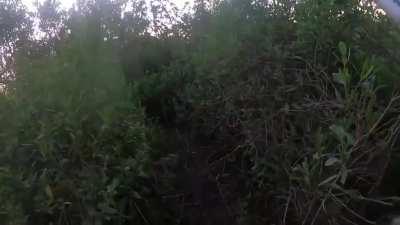 Guy in Florida coming face to face with a massive alligator.