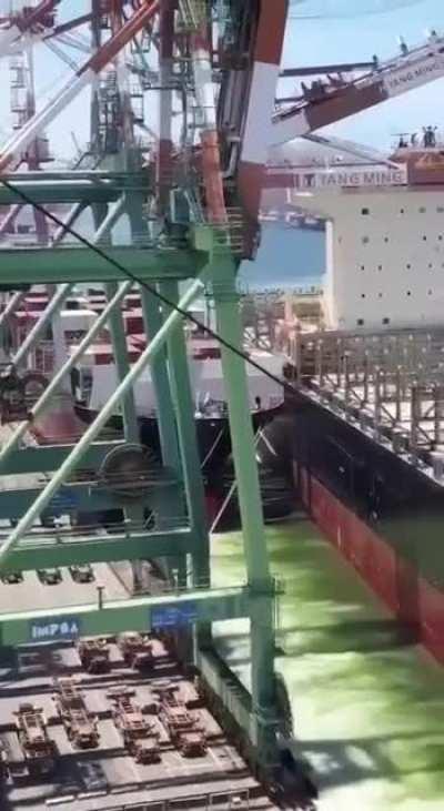 Just hit the brakes! On a ship...