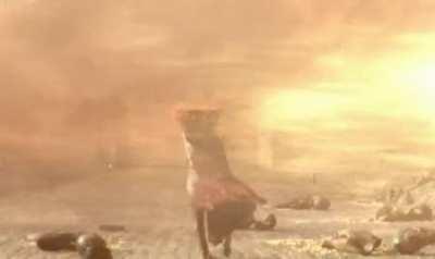 Me stepping outside today