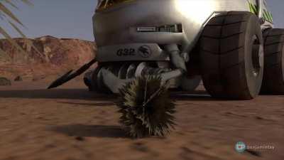 Absolute Units: Tumbleweed Farm