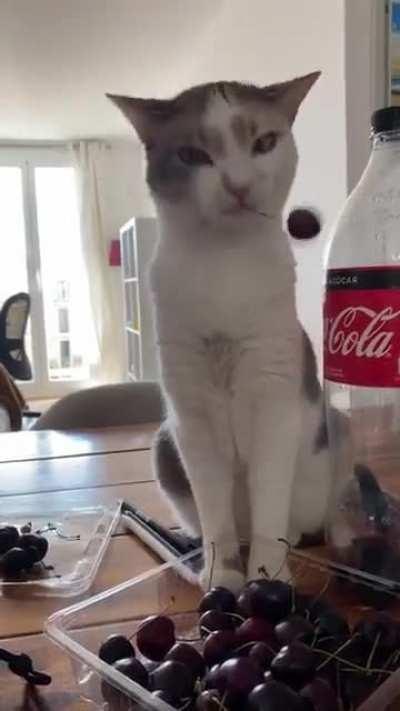 Gravity os not helping