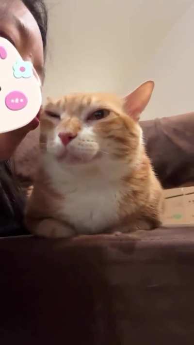 Can a beast like this truly understand love through a kiss?