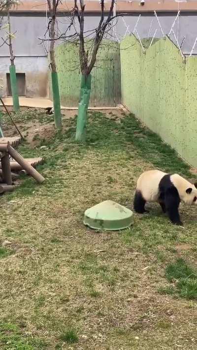 I love how unbothered the mom is