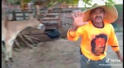 Anima doesn't want to work after quarentine. Story in comments.