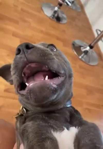 what a little stinker