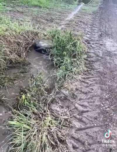 Cleaning out a culvert