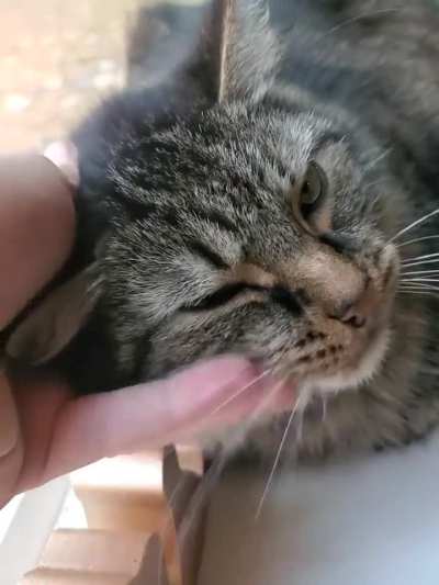 Peter getting those rpms up