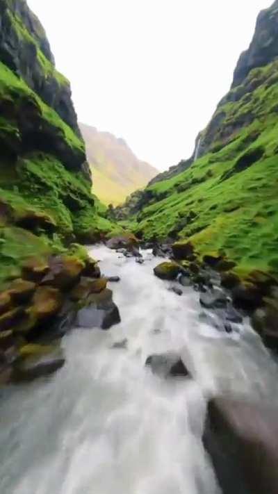 Kojima's vacation 2016* 