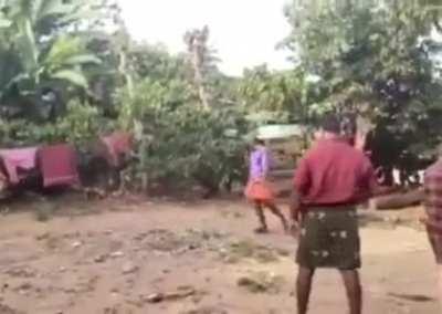 Elephant playing Cricket in Kerela 