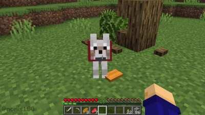 HELL NAW! 🗣️🌳🍴🐕