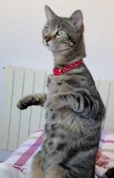 The first time he sees a person on the roof