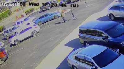 Deer oh deer oh dear