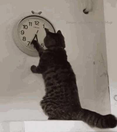 Me waiting three more minutes for the full 18 hour fast with my prepped meal in front of me.