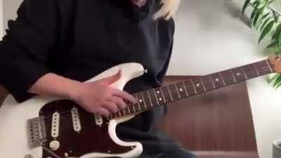 Guitar played using one finger only