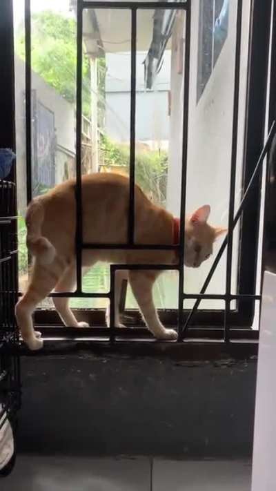 Someone had a thought... we're doomed 😹