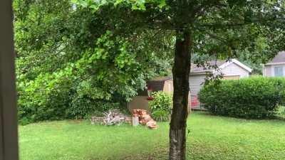 Severe thunderstorm rolling through, grateful to have a back patio at my new house