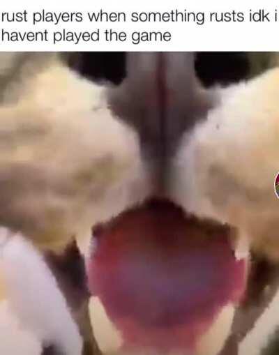 idk i never played it