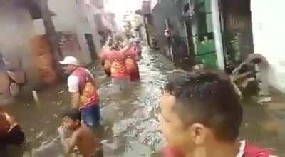 festao no parque aquatico