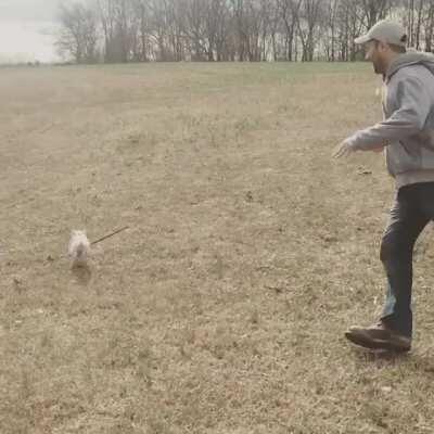 Sometimes you need to take your human for a run to keep them healthy