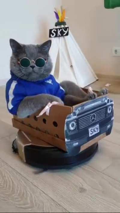 Hunting rats with style