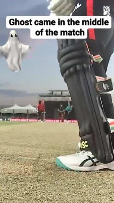 Is it - Ek tha jo wicket k piche se match palat deta tha ?