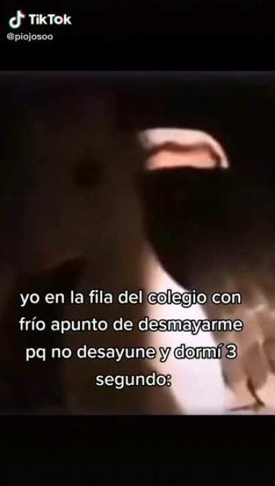 BeelcitosMemes - Video #9317